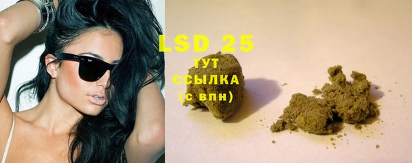 PSILOCYBIN Балабаново