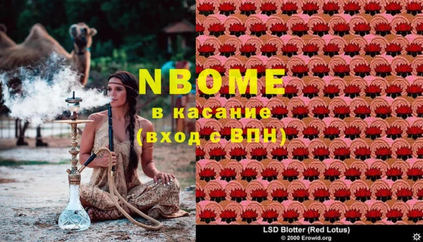 PSILOCYBIN Балабаново