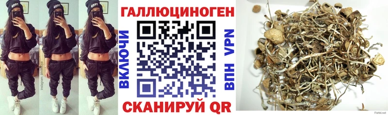 Галлюциногенные грибы ЛСД  Озёры 